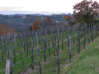 veduta Collio