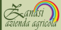 www.zanasi.net