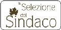 www.selezionedelsindaco.it