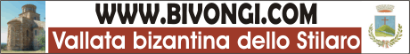 www.bivongi.com