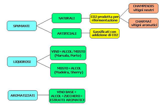 macrofamiglie vini speciali